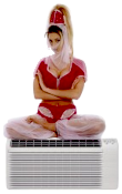 Genie